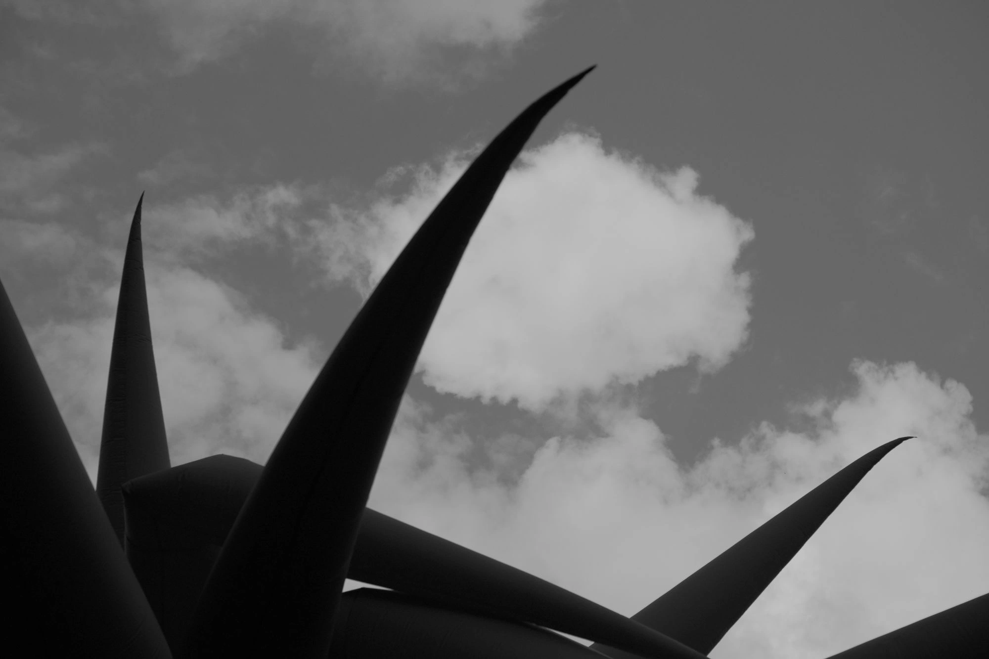2026-06-14 - xt35 - bw - NL - Den Haag - Blow-up Jubilee - Crested by Steve Messam (2)