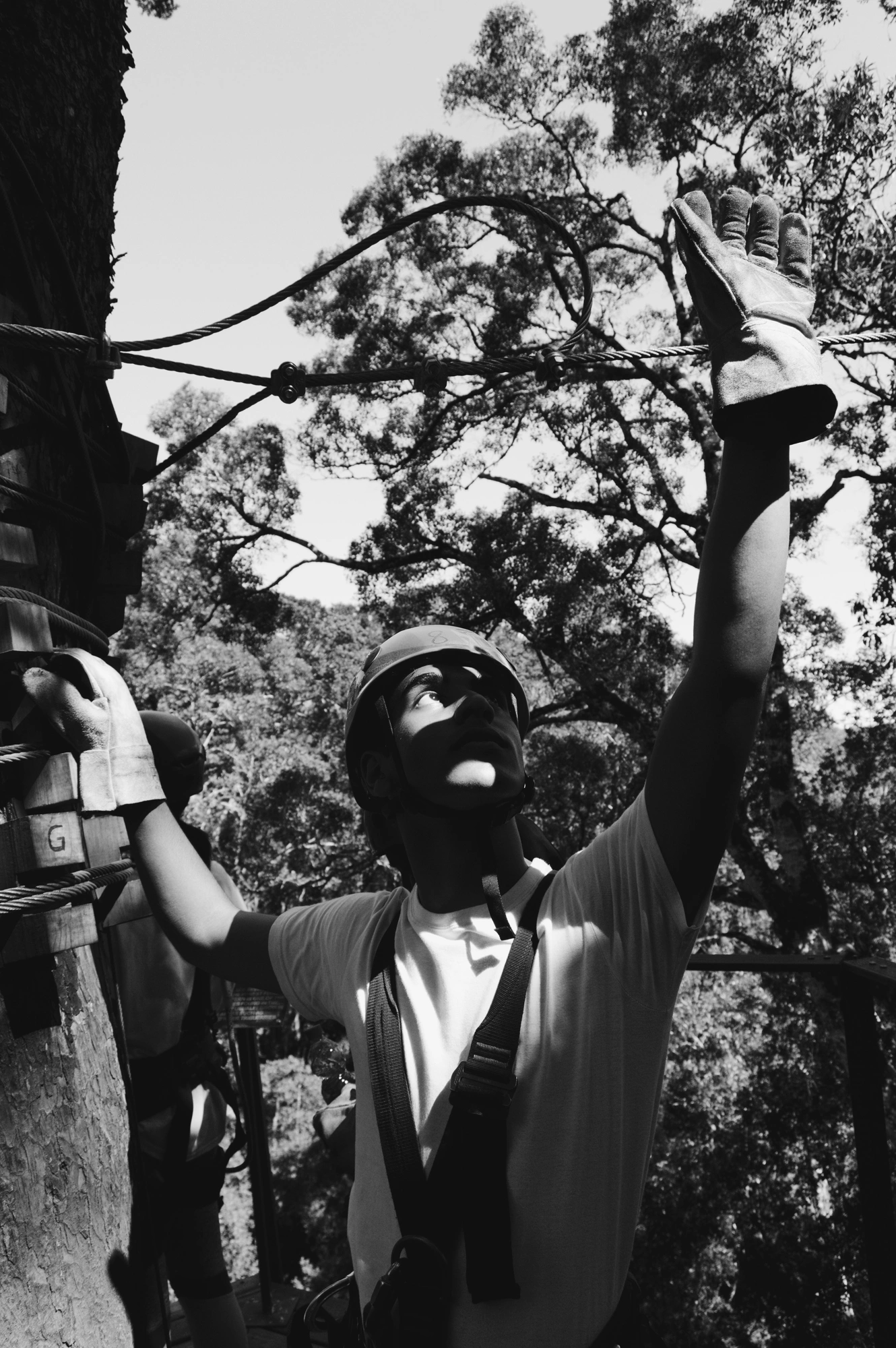 2018-12-23 - n18-55 - bw - ZA - George - Person with climbing gear standing in the trees