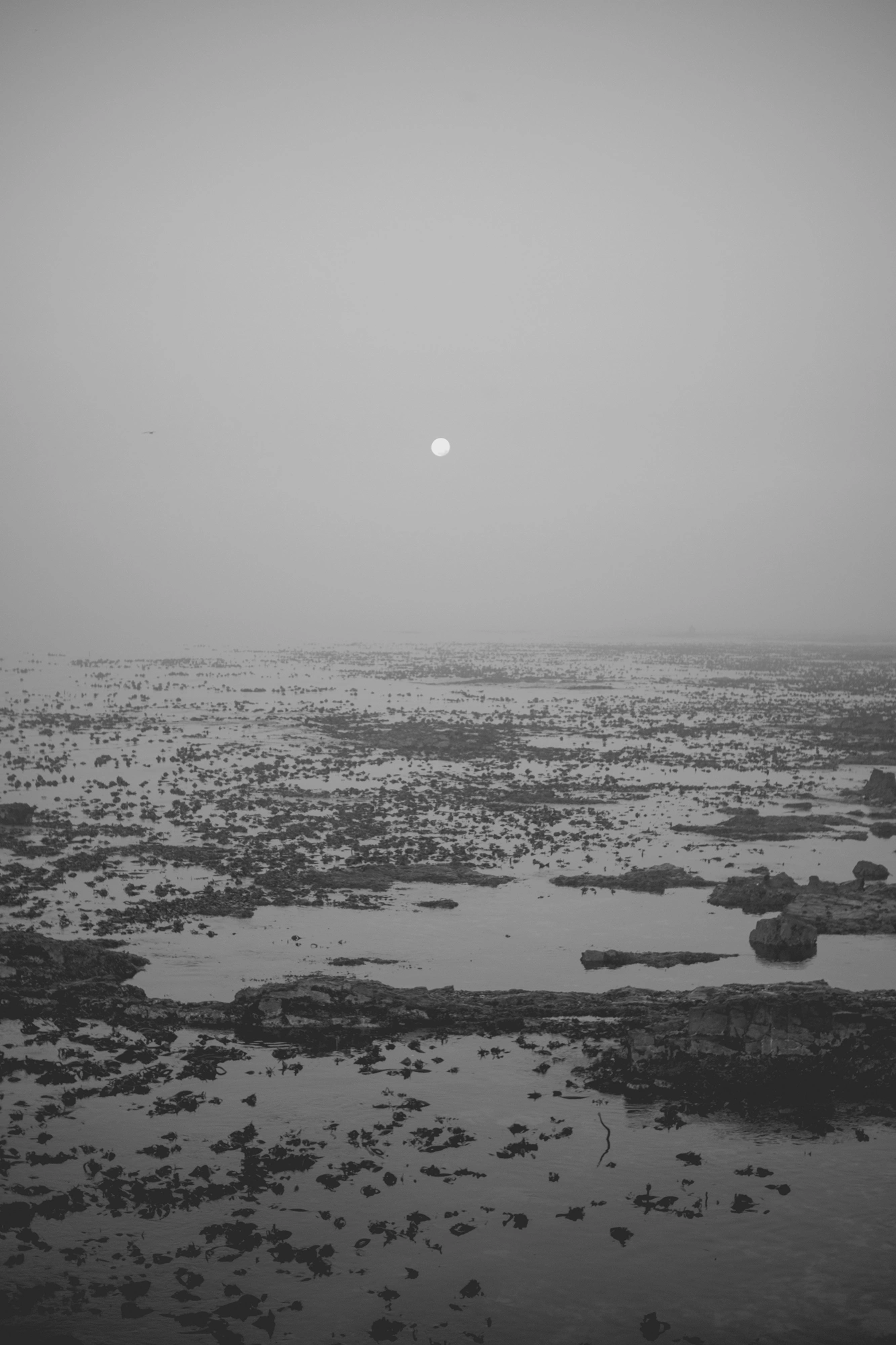 2022-02-15 - xt35 - bw - ZA - Cape Town - Moon over a rocky beach