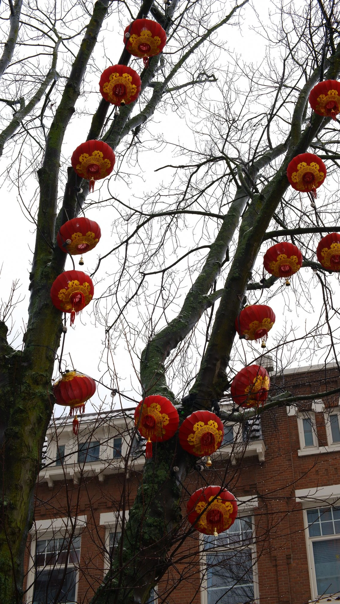 2026-01-04 - xt35 - color - NL - Rotterdam - Red lanterns on bare tree
