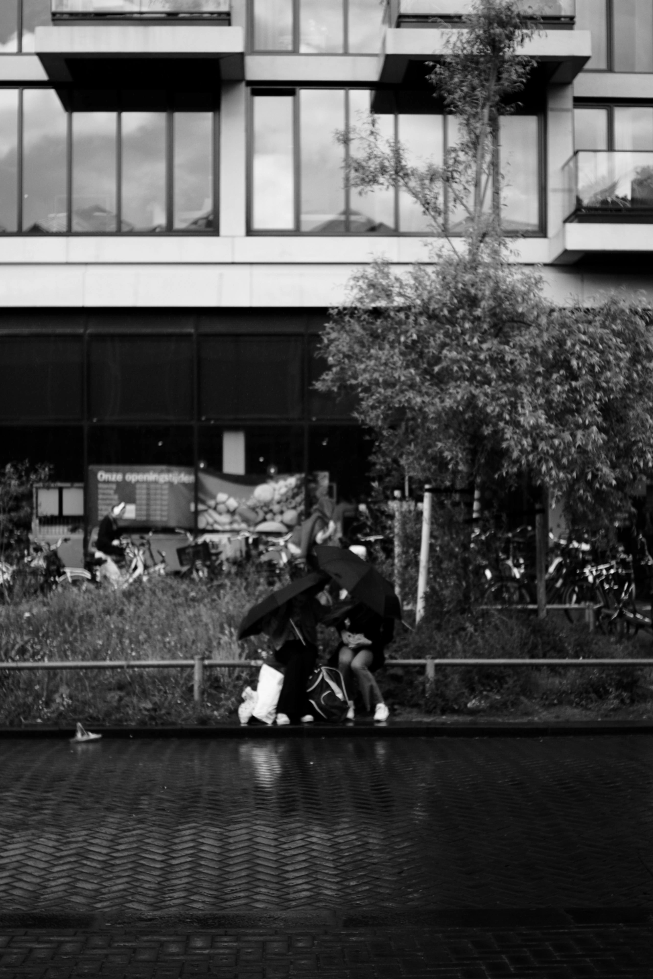 2023-08-26 - xt35 - bw - NL - People trying to hold onto umbrella