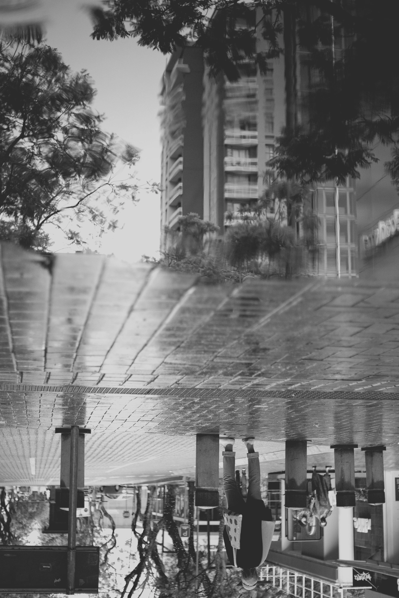 2021-12-19 - xt35 - bw - ZA - Rosebank, Johannesburg - Reflection of buildings in puddle